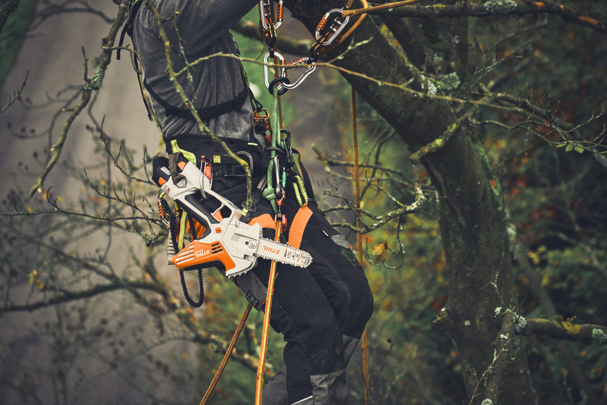 Arrampicarsi sugli alberi con un attrezzo da taglio a batteria STIHL GTA 40