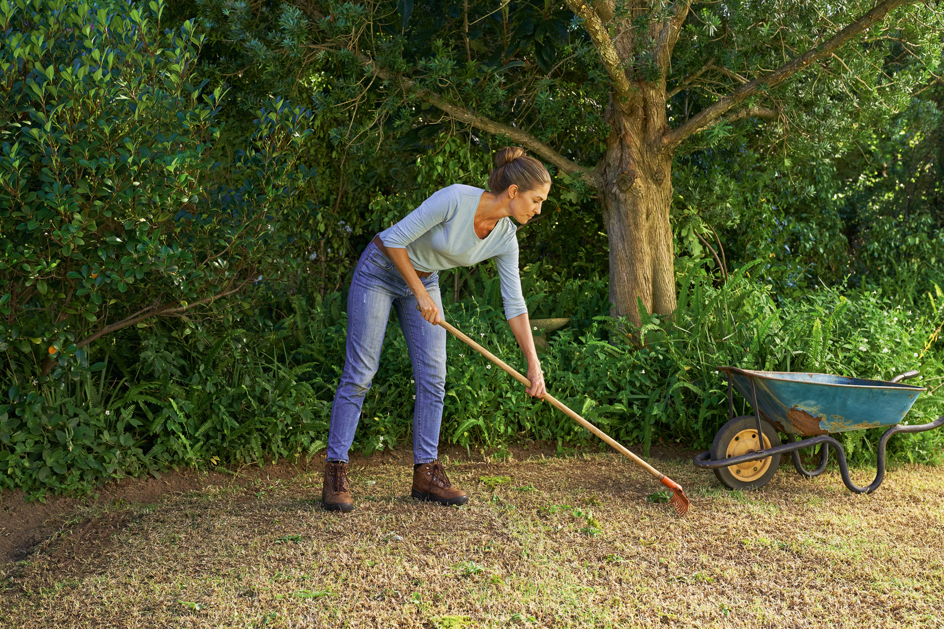 Per rinnovare il prato, una donna strappa le erbacce dal terreno con un rastrello. 