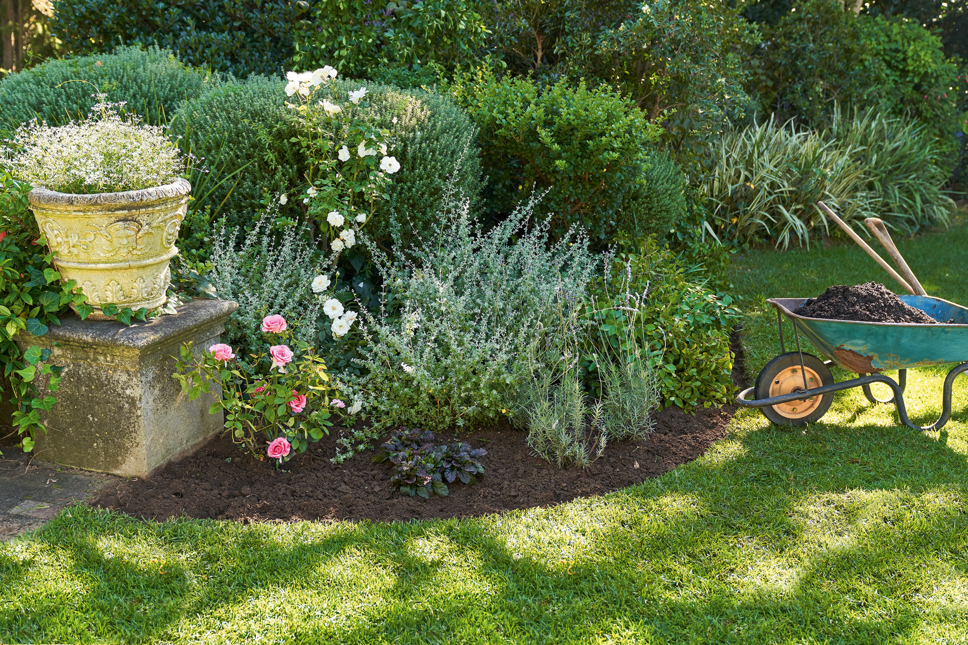 Aiuola con piante da giardino che necessitano di poca acqua; accanto una carriola con terriccio e attrezzi da giardino